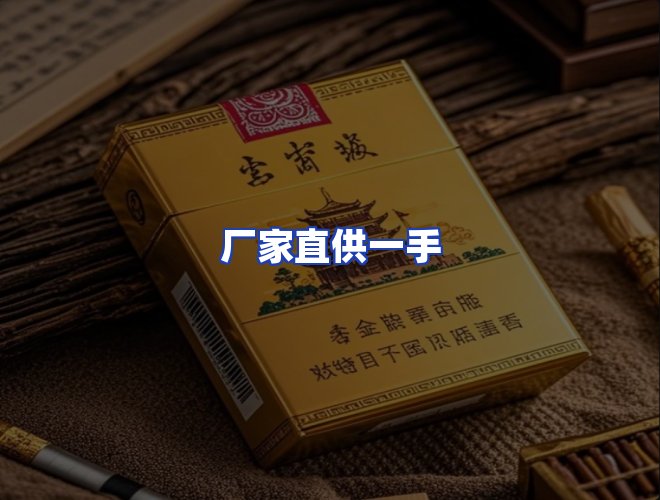 专业团队